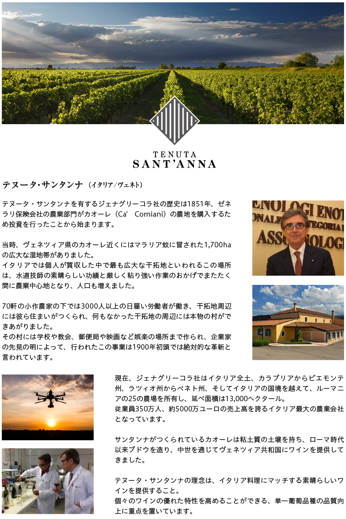 テヌータ サンタンナ プロセッコ ミッレジマート ブリュット DOC 2019 750ml スパークリングワイン グレーラ イタリア | プレジャー ワイン